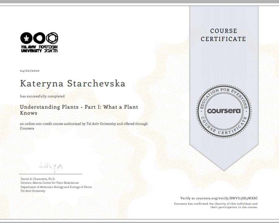 93044581_896027927510039_8125065894729613312_n