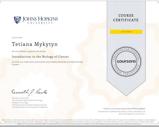 93777525_1354574078071302_6274611795395084288_n