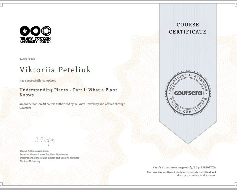 94700122_907833172996181_5227840282954825728_n