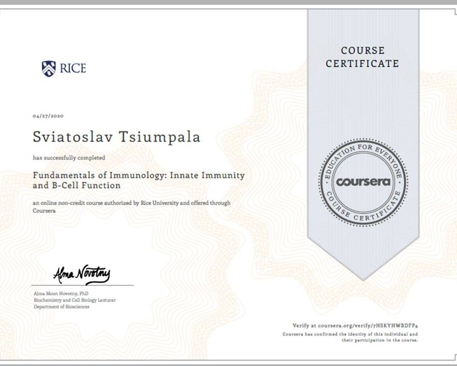 94975534_906529553126543_687983177326657536_n