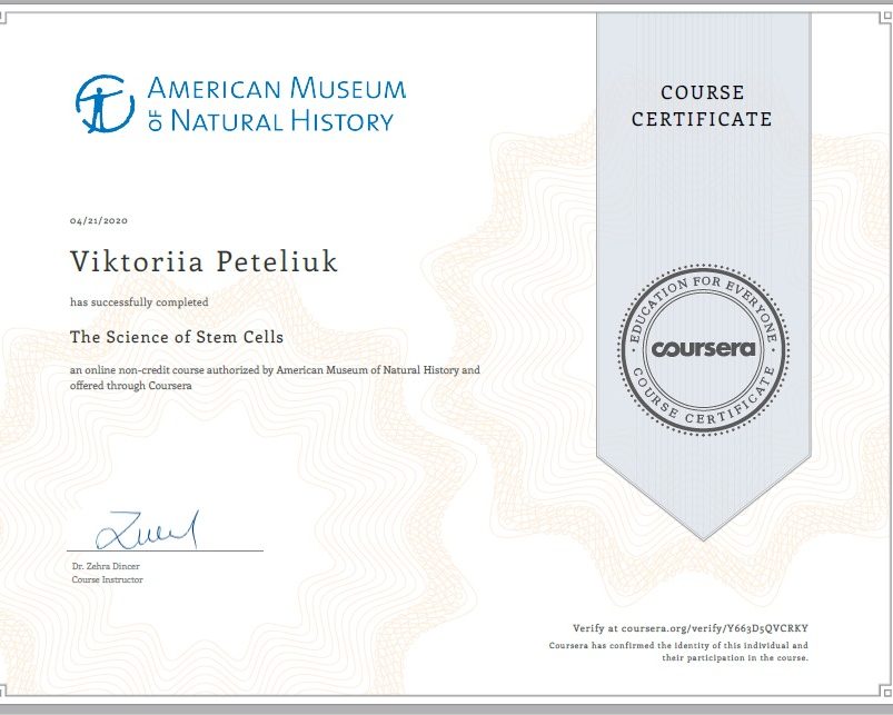 95015032_907833176329514_4276717065131261952_n